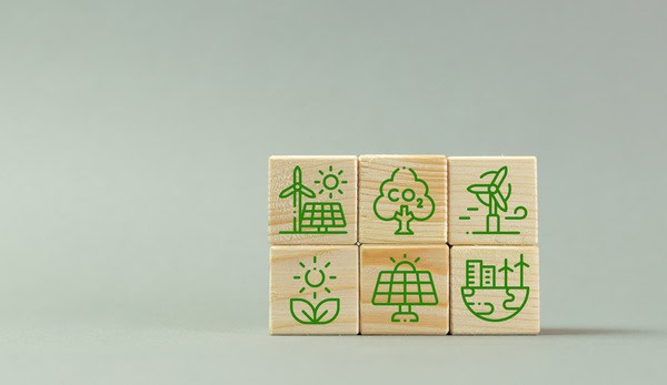 Nachhaltige Architektur: Gesa Vertes erklärt, wie grüne Baumaterialien die Zukunft gestalten